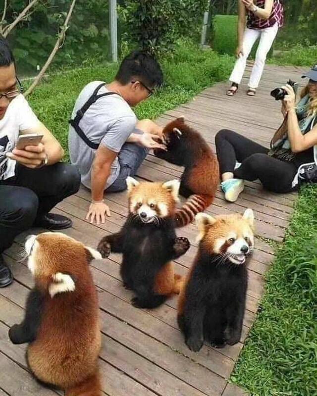 Nachschlag - Bildschirmarbeiter - Picdump KW 18/2022