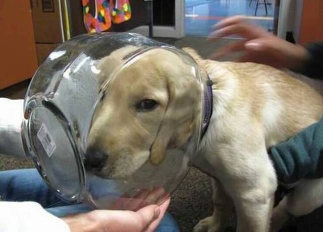 Nachschlag - Bildschirmarbeiter - Picdump KW 18/2022