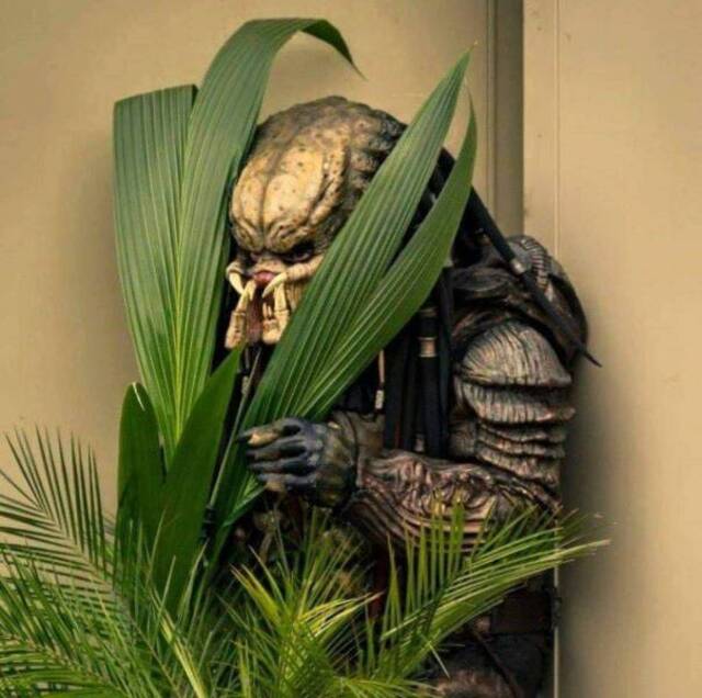 Nachschlag - Bildschirmarbeiter - Picdump KW 18/2022