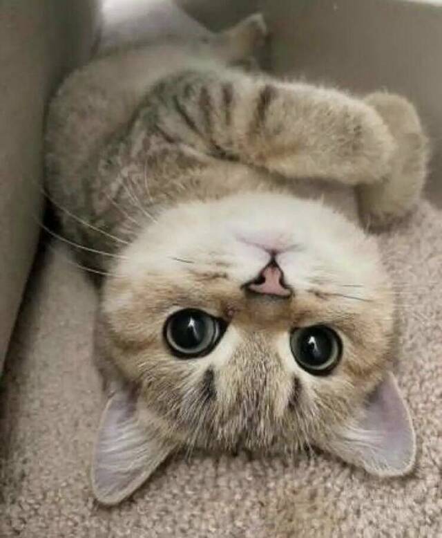 Nachschlag - Bildschirmarbeiter - Picdump KW 18/2022