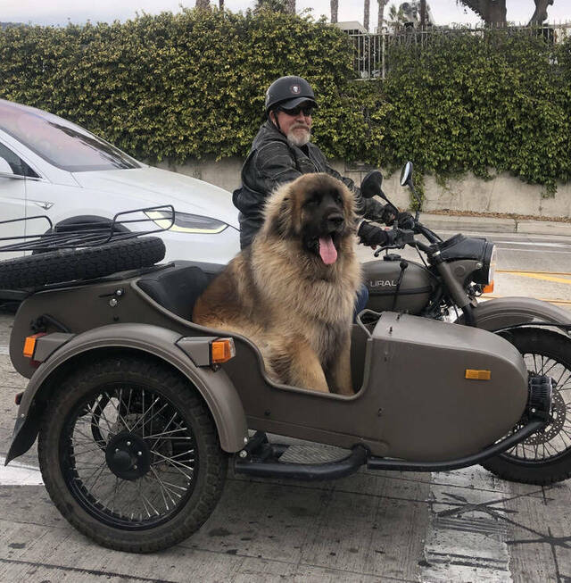 Nachschlag - Bildschirmarbeiter - Picdump KW 18/2022