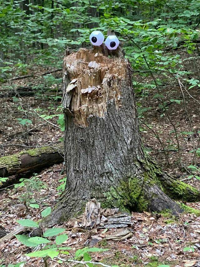 Bildschirmarbeiter - Picdump KW 18/2026