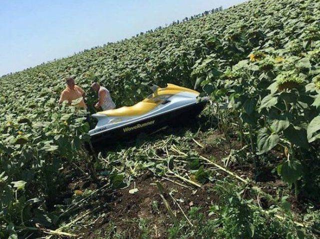 Bildschirmarbeiter - Picdump KW 18/2026