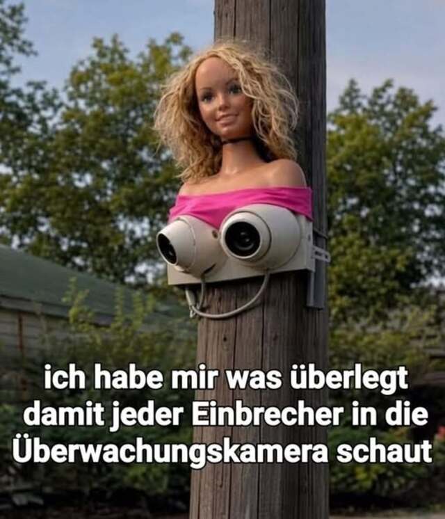 Bildschirmarbeiter - Picdump KW 18/2026