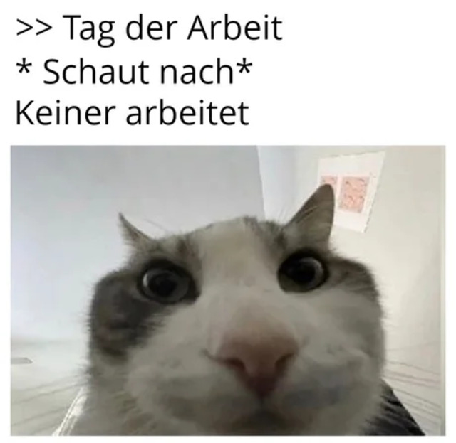 Bildschirmarbeiter - Picdump KW 18/2026