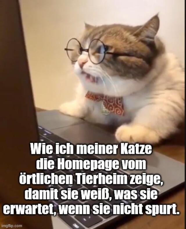 Bildschirmarbeiter - Picdump KW 18/2026