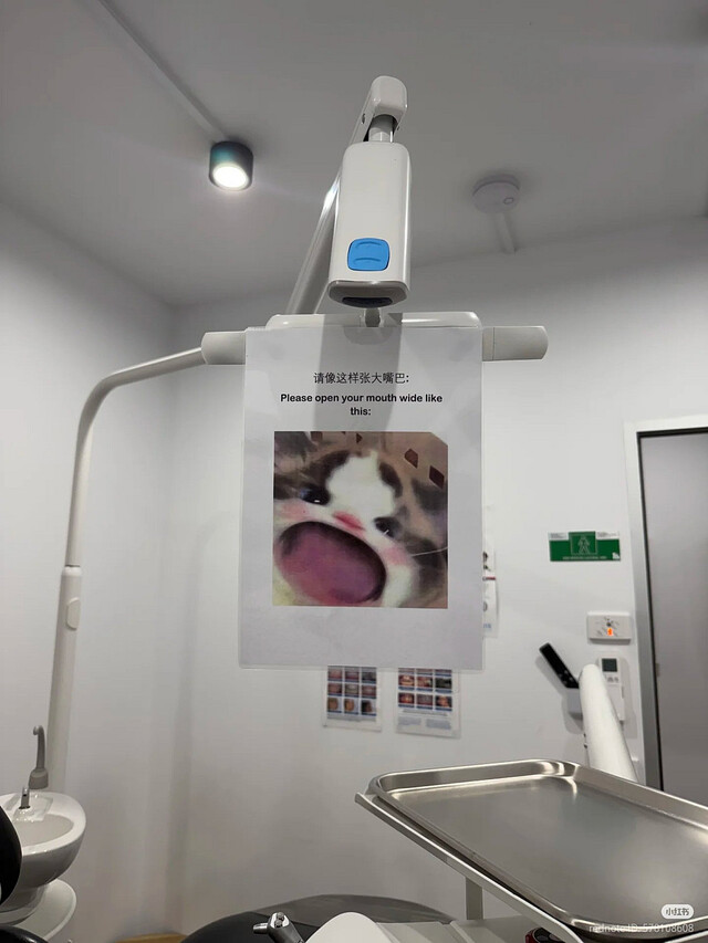 Bildschirmarbeiter - Picdump KW 18/2026