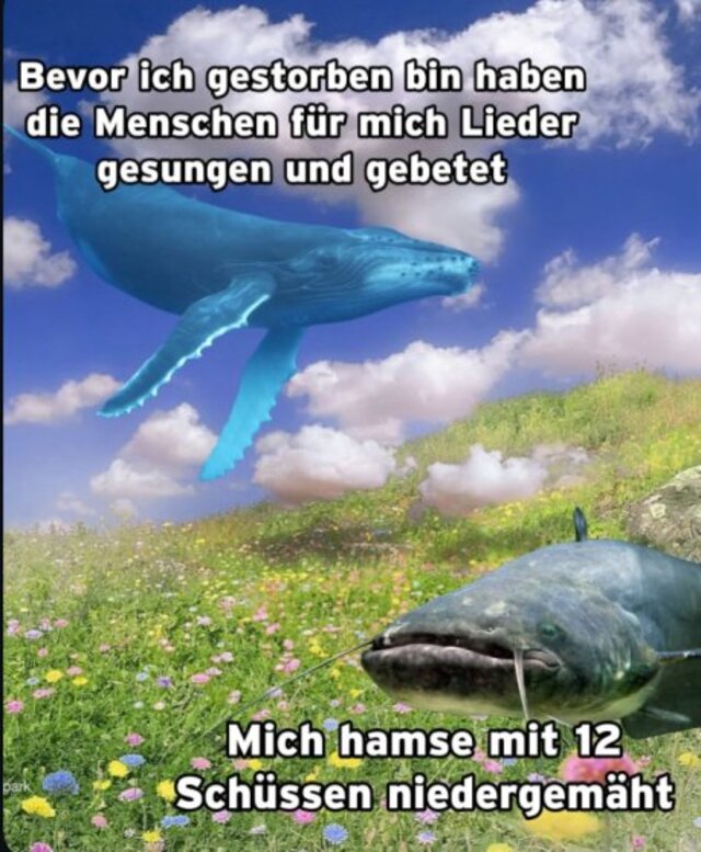 Bildschirmarbeiter - Picdump KW 18/2026