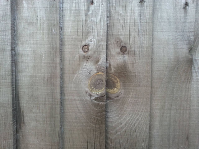 Bildschirmarbeiter - Picdump KW 19/2026