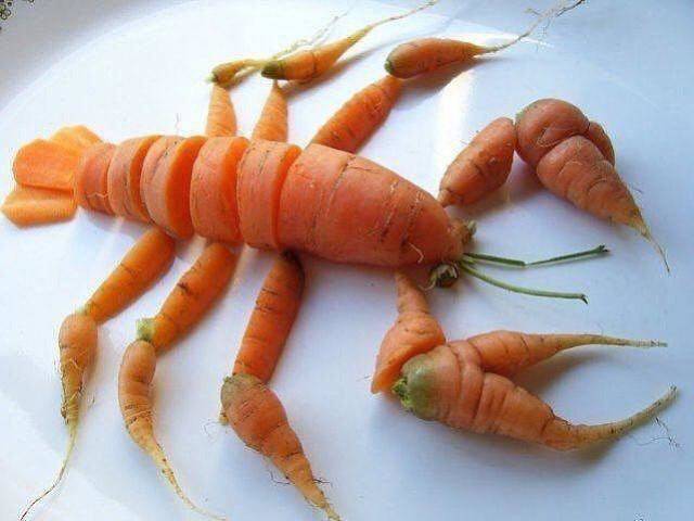 Bildschirmarbeiter - Picdump KW 19/2026