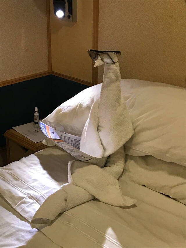 Bildschirmarbeiter - Picdump KW 19/2026