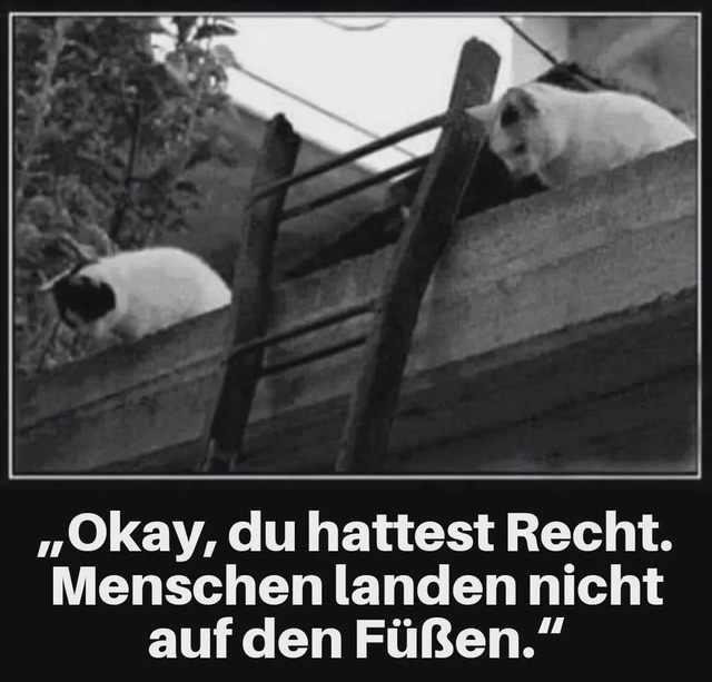 Bildschirmarbeiter - Picdump KW 19/2026