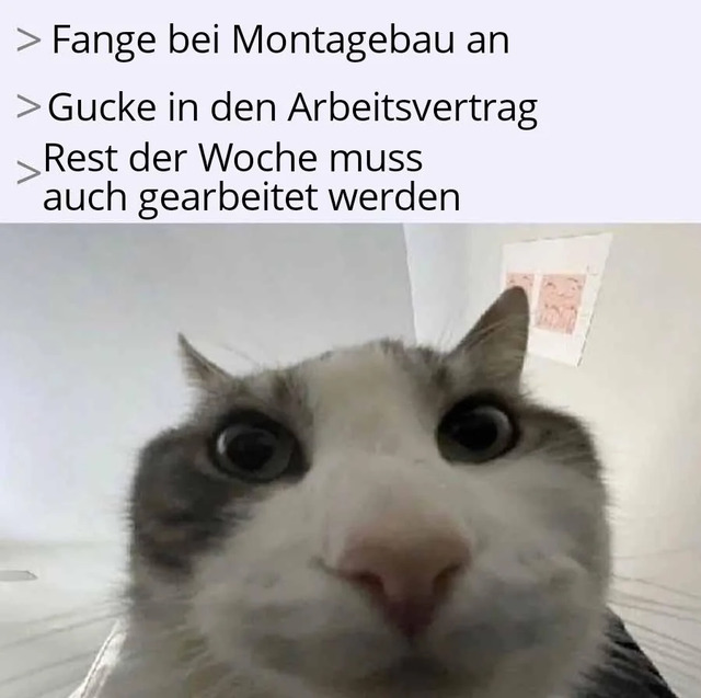 Bildschirmarbeiter - Picdump KW 19/2026
