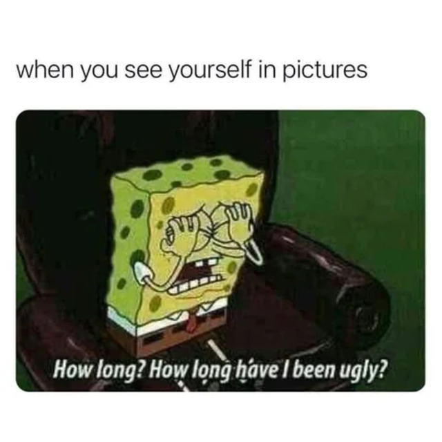 Bildschirmarbeiter - Picdump KW20 2021