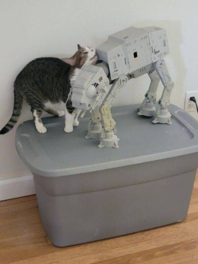 Bildschirmarbeiter - Picdump KW20 2021