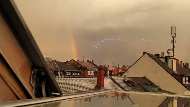 Bildschirmarbeiter - Picdump KW20 2021