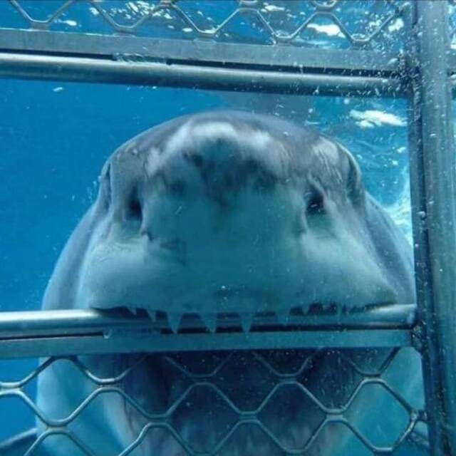 Bildschirmarbeiter - Picdump KW20 2021