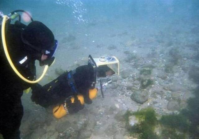 Bildschirmarbeiter - Picdump KW20 2021