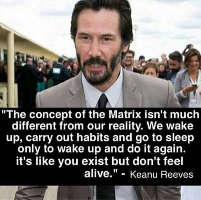 Bildschirmarbeiter - Picdump KW20 2021