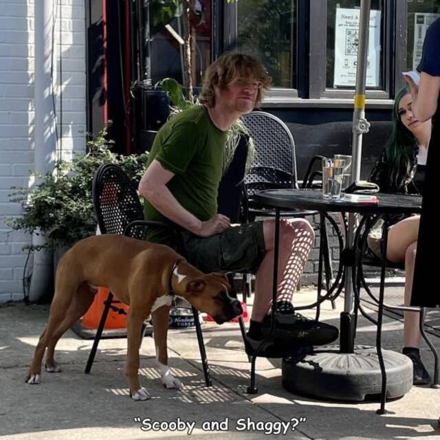 Bildschirmarbeiter - Picdump KW20 2021