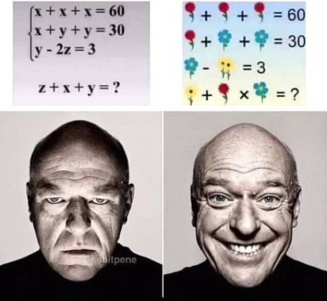 Bildschirmarbeiter - Picdump KW20 2021