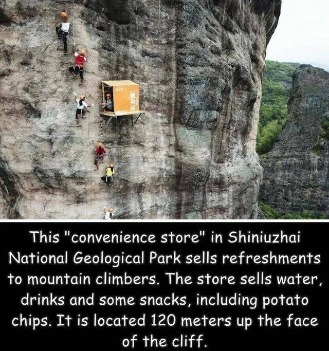 Nachschlag - Bildschirmarbeiter - Picdump KW 20/2022