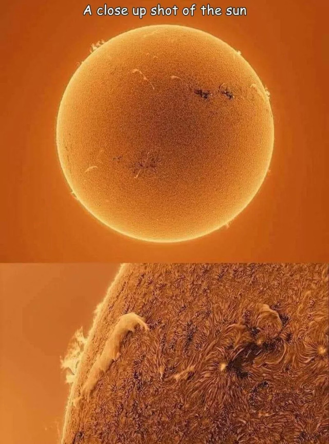 Nachschlag - Bildschirmarbeiter - Picdump KW 20/2022