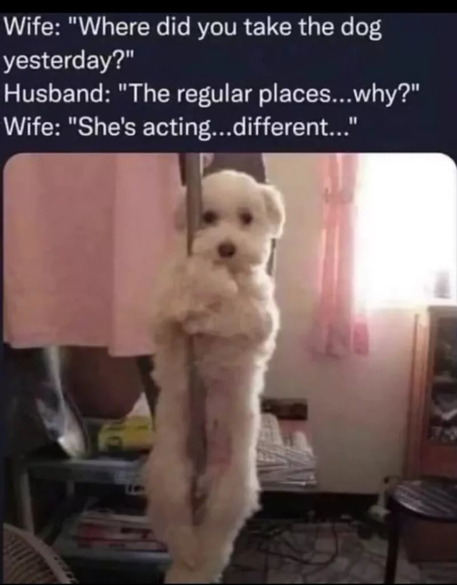 Nachschlag - Bildschirmarbeiter - Picdump KW 20/2022