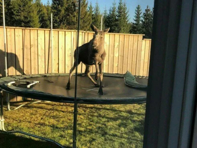 Nachschlag - Bildschirmarbeiter - Picdump KW 20/2022