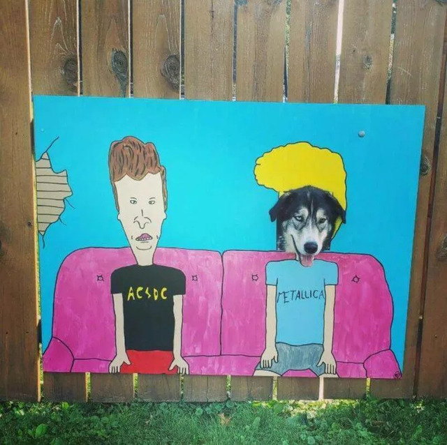 Nachschlag - Bildschirmarbeiter - Picdump KW 20/2022