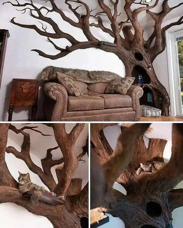 Nachschlag - Bildschirmarbeiter - Picdump KW 20/2022