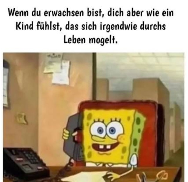 Bildschirmarbeiter - Picdump KW 20/2026