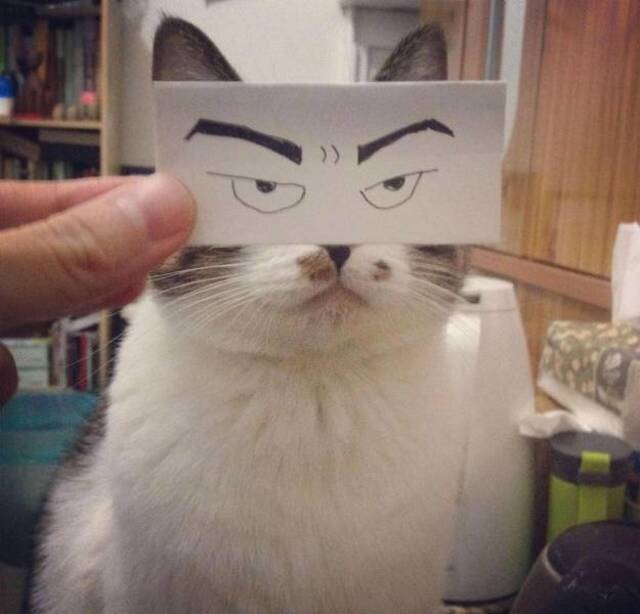 Bildschirmarbeiter - Picdump KW 21/2026