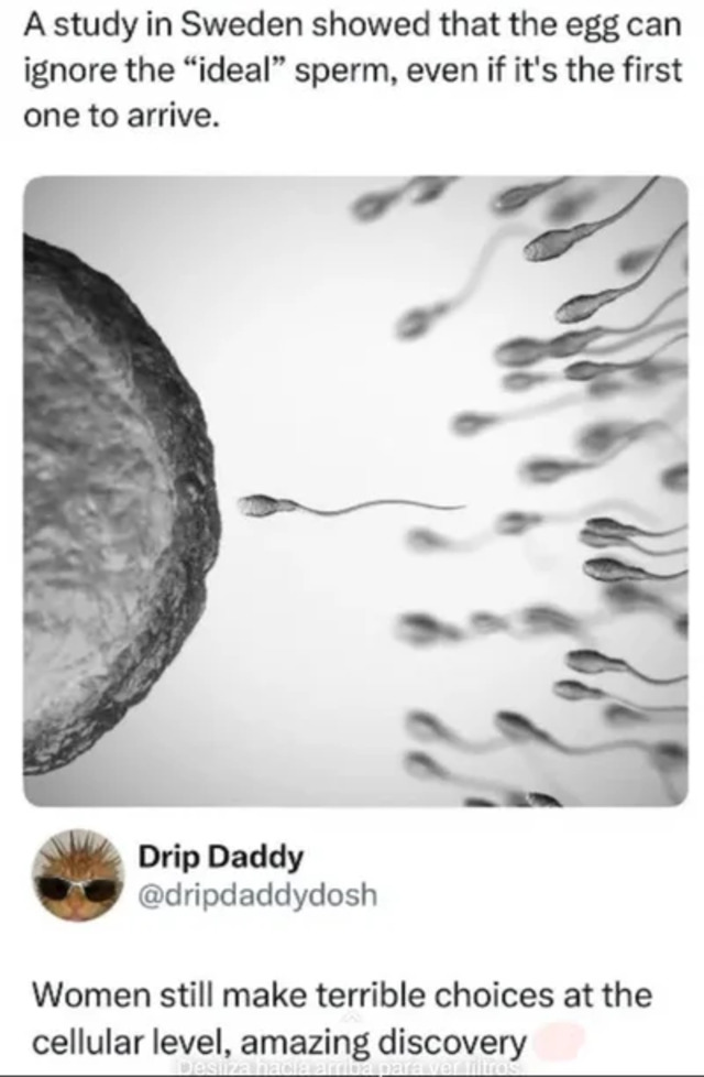 Bildschirmarbeiter - Picdump KW 21/2026