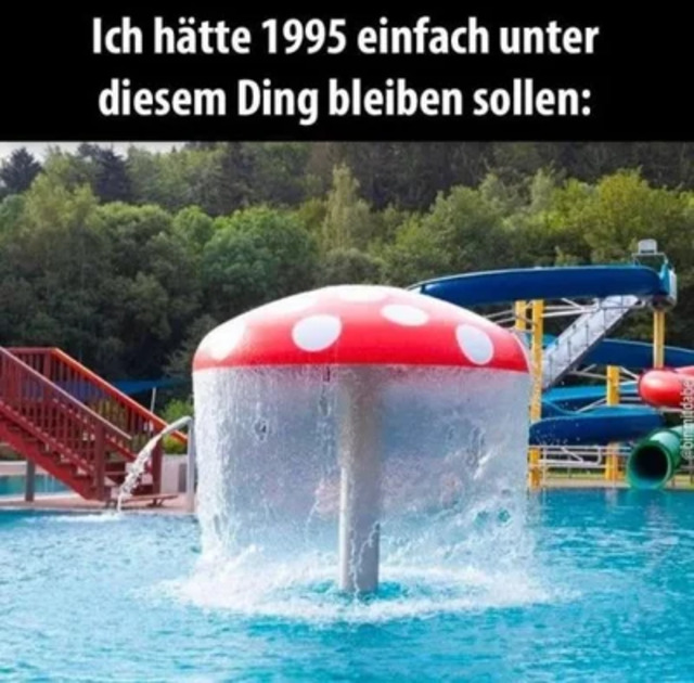 Bildschirmarbeiter - Picdump KW 21/2026