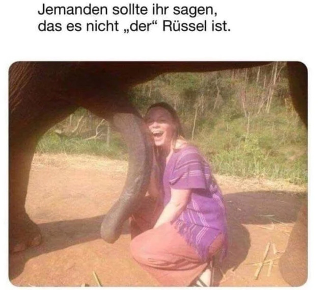 Bildschirmarbeiter - Picdump KW 21/2026