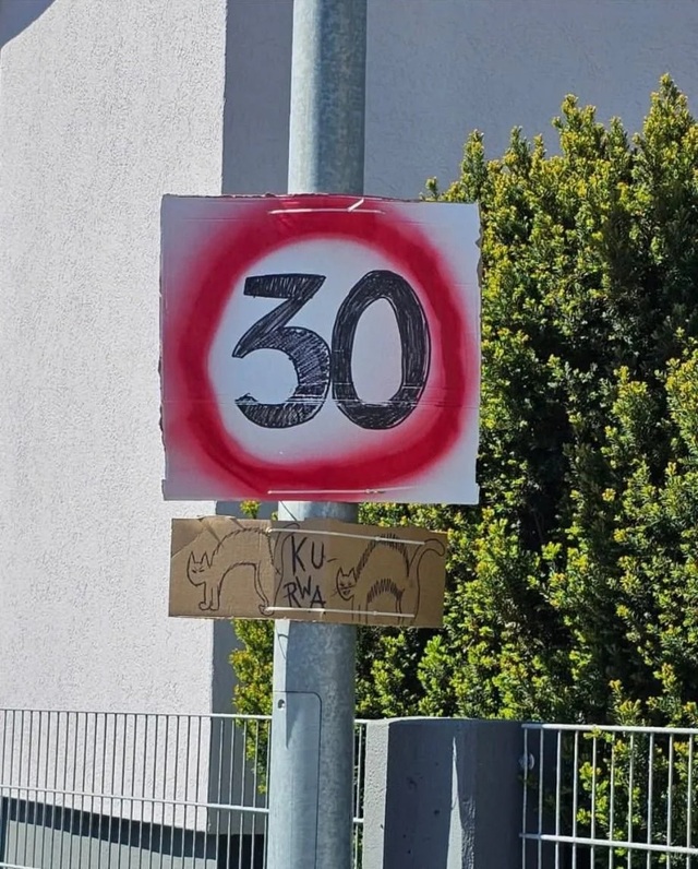 Bildschirmarbeiter - Picdump KW 21/2026