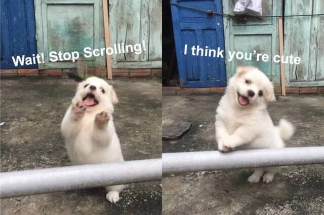 Bildschirmarbeiter - Picdump KW 22/2025