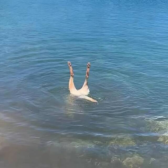 Bildschirmarbeiter - Picdump KW 22/2025