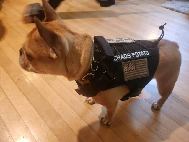 Bildschirmarbeiter - Picdump KW 22/2025