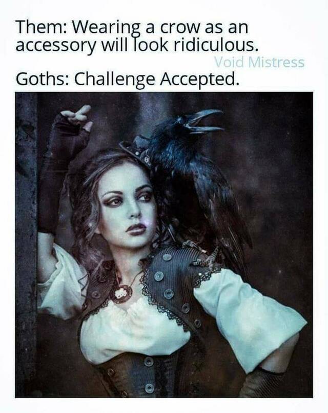 Bildschirmarbeiter - Picdump KW 22/2025