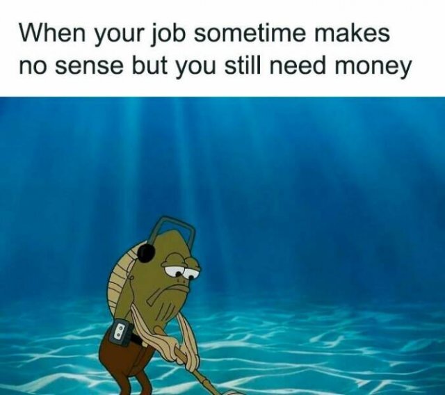 Bildschirmarbeiter - Picdump KW 22/2025