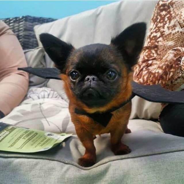 Bildschirmarbeiter - Picdump KW 22/2025