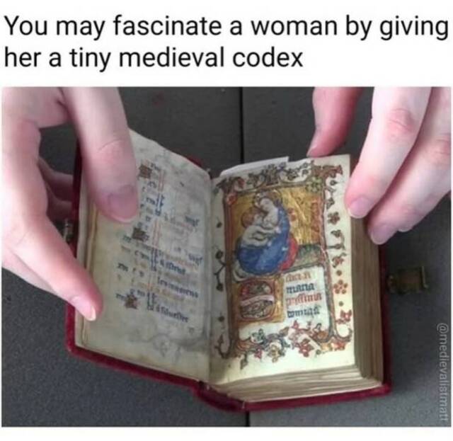 Bildschirmarbeiter - Picdump KW 22/2025