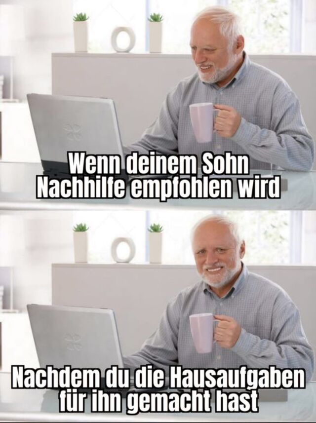 Bildschirmarbeiter - Picdump KW 22/2025