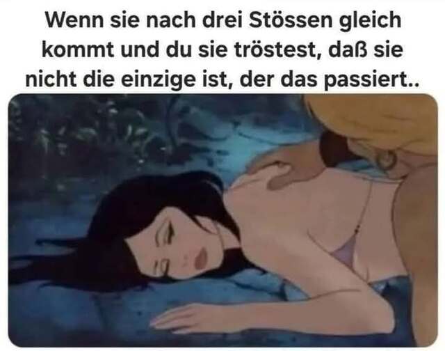 Bildschirmarbeiter - Picdump KW 22/2025