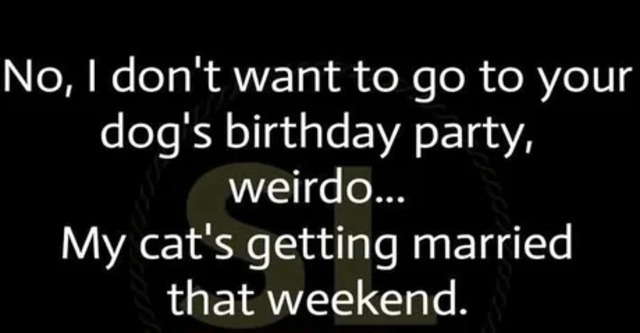 Bildschirmarbeiter - Picdump KW 22/2025