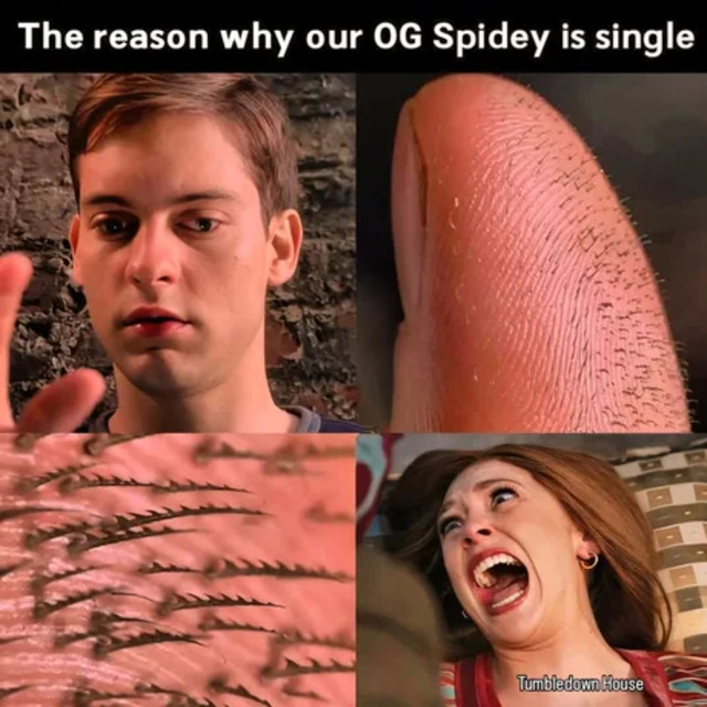 Bildschirmarbeiter - Picdump KW 22/2025