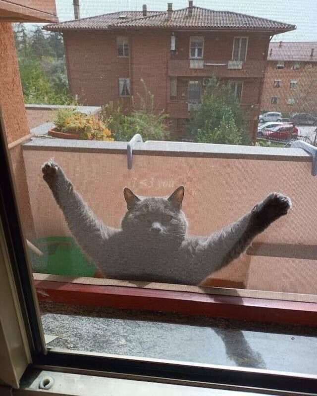 Bildschirmarbeiter - Picdump KW 22/2025