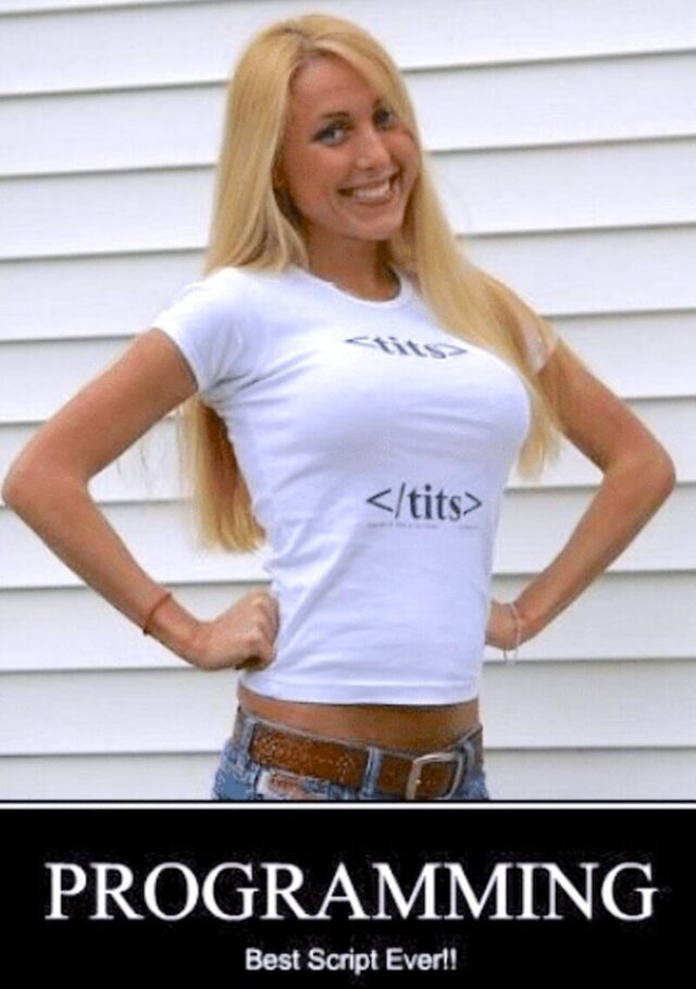 Bildschirmarbeiter - Picdump KW 22/2025